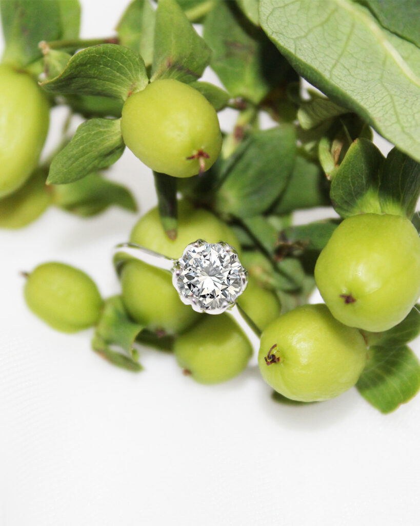 Six_claw_petal_solitaire_ring_with_berries_environment - Mark Solomon Jewellers Close-up of a Diamond Engagement Ring Resting on a Branch with Small Green Berries and Leaves in the Background.