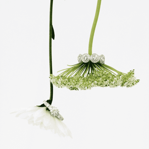 Bezel-set Round Diamond Eternity Band and Diamond Engagement Ring Balanced on Delicate White Floral Stems at Mark Solomon Jewellers.