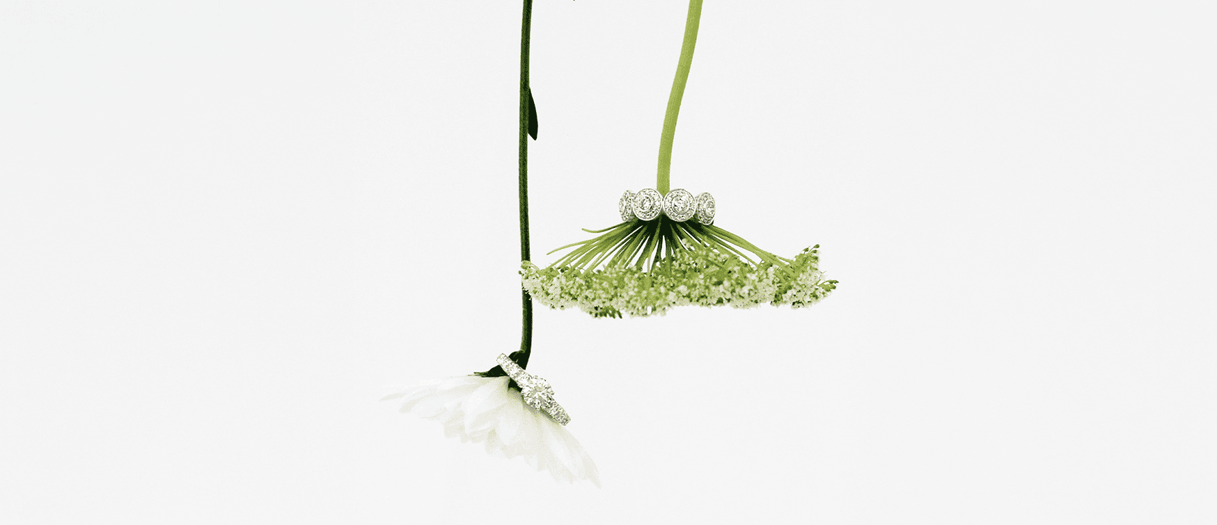 Bezel-set Round Diamond Eternity Band and Diamond Engagement Ring Balanced on Delicate White Floral Stems at Mark Solomon Jewellers.
